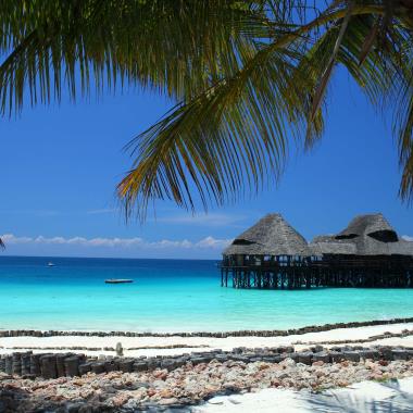 Zanzibar strand palbomen