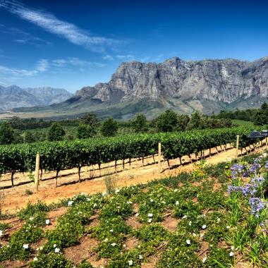 Simonsberg in Stellenbosch, Zuid-Afrika