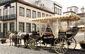 Paard en Wagen in Punta Delgada