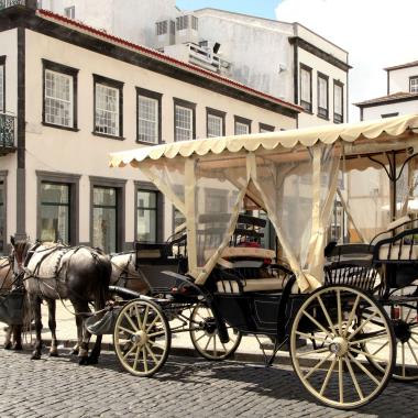 Paard en Wagen in Punta Delgada