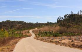 zandweg op de Azoren
