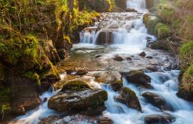 Somerset and the Cotswolds