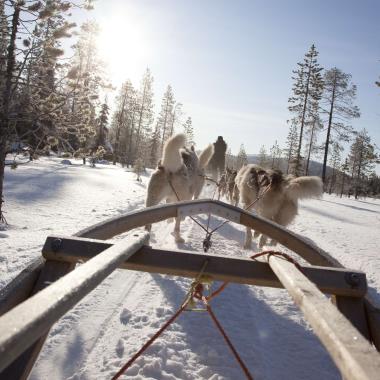 Een huskytocht in Lapland boek je bij VakantieXperts