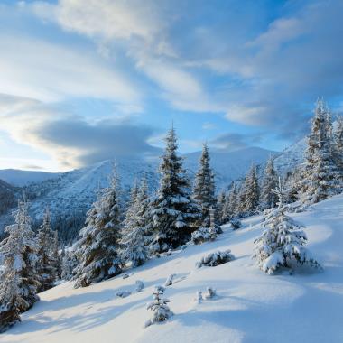 sneeuwlandschap in Finland