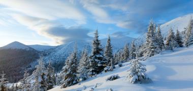 sneeuwlandschap in Finland