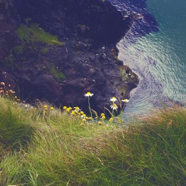 Groen landschap in Ierland