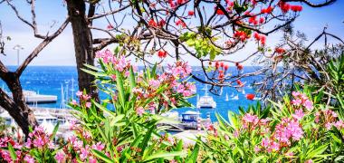 Bloemeneiland Madeira