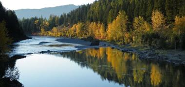 Glacier National Park Forset Canada