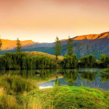 Bendemeer Estates Nieuw-Zeeland