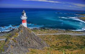 Cape Palliser vuurtoren Nieuw-Zeeland