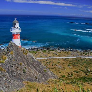 Cape Palliser vuurtoren Nieuw-Zeeland