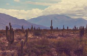 Landschap in het noorden van Argentinië