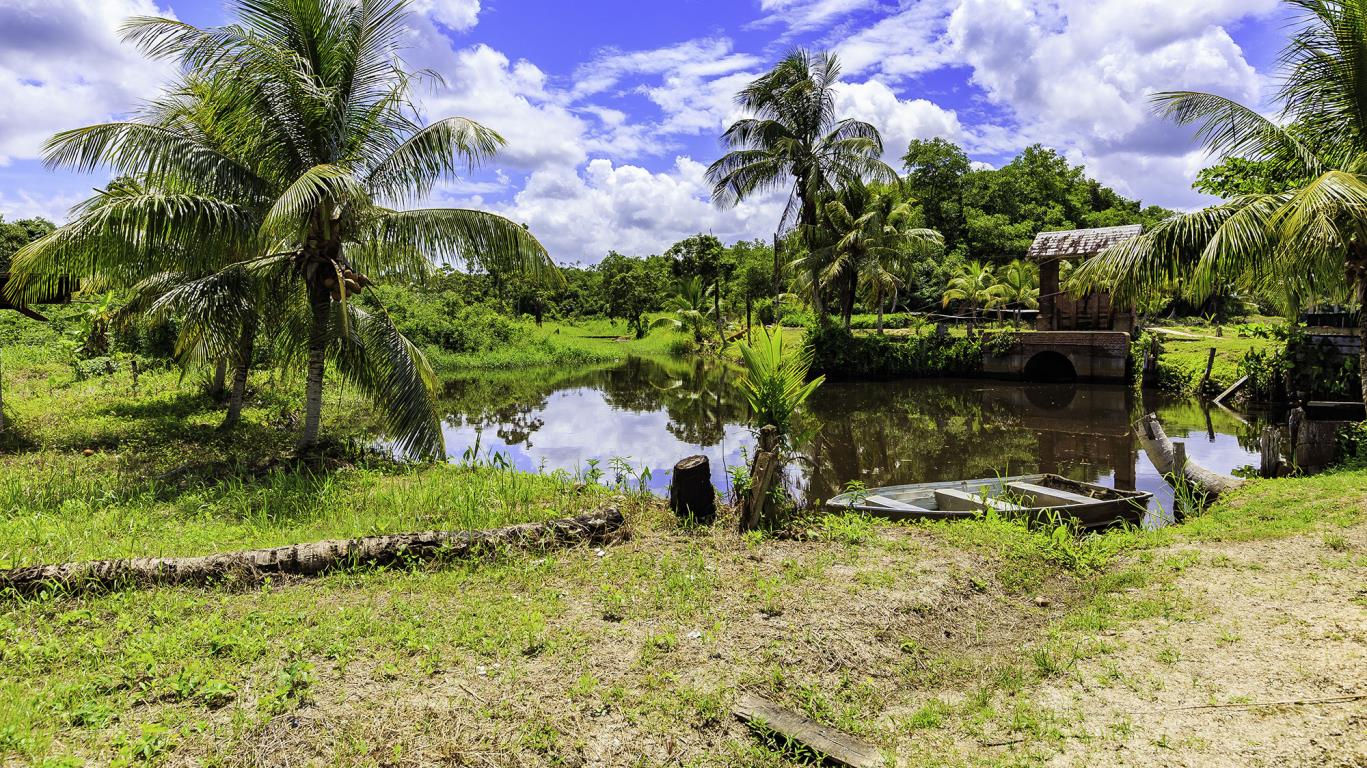 Natuur in Suriname