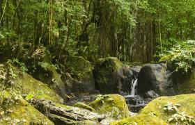 Een waterval in Suriname