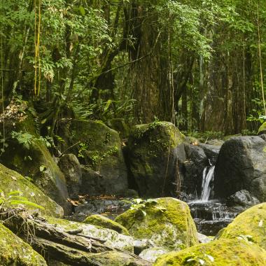 Een waterval in Suriname