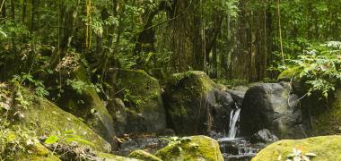 Een waterval in Suriname