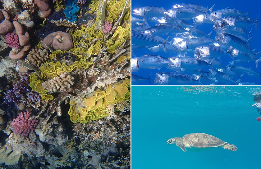 Port Ghalib stranden onderwater