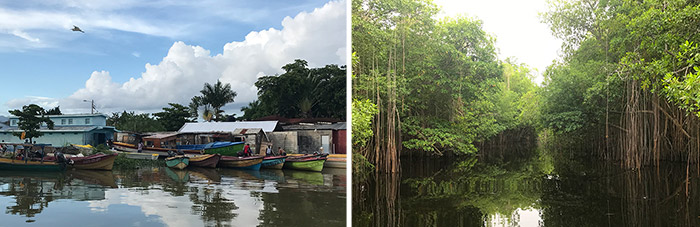 Black River en Mangrove Avenue