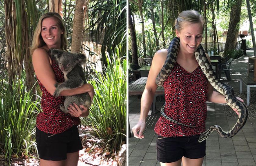  Bungalow Bay Koala Village slangen