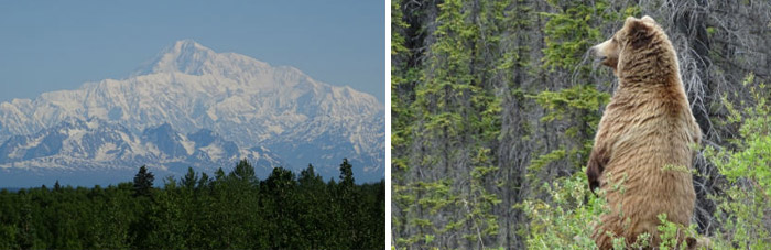 Denali, de Hoge