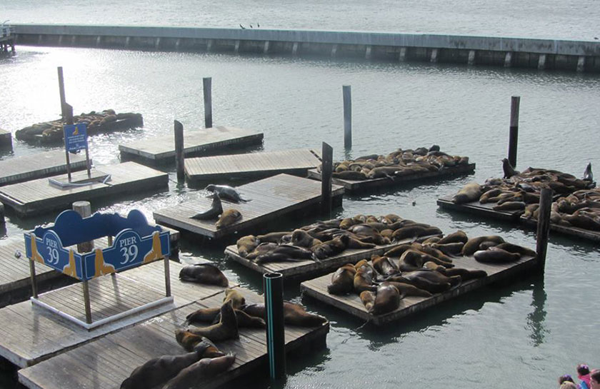 Oud trammetje in The Castro