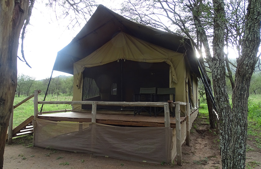 Slapen in de wildernis