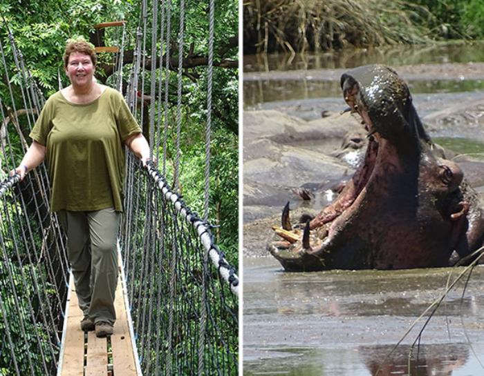 Lake Manyara National Park Tree Top Walk hippo