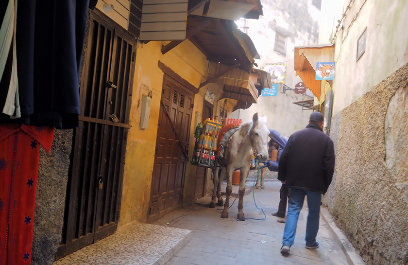 Steegjes Blauwe Poort