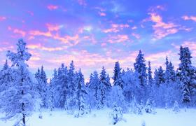 Het besneeuwde landschap van Zweden